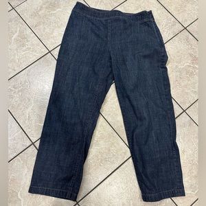 Ann Taylor Denim Side Zip Ankle Pants Size 10